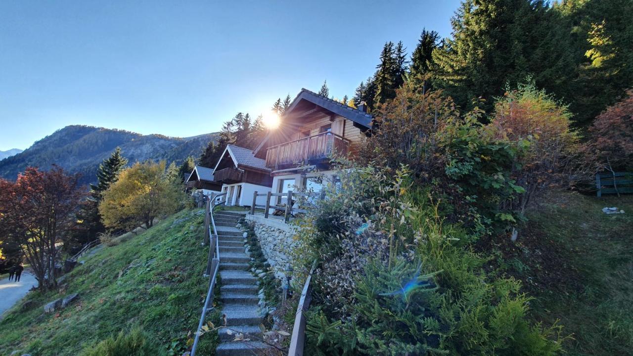 Baumfuchs Direkt An Der Talabfahrt Belalp Chalet Blatten bei Naters