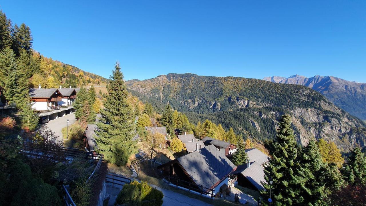 Chalet Baumfuchs Direkt An Der Talabfahrt Belalp *