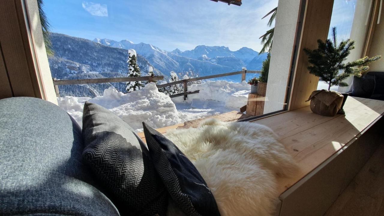Baumfuchs Direkt An Der Talabfahrt Belalp *